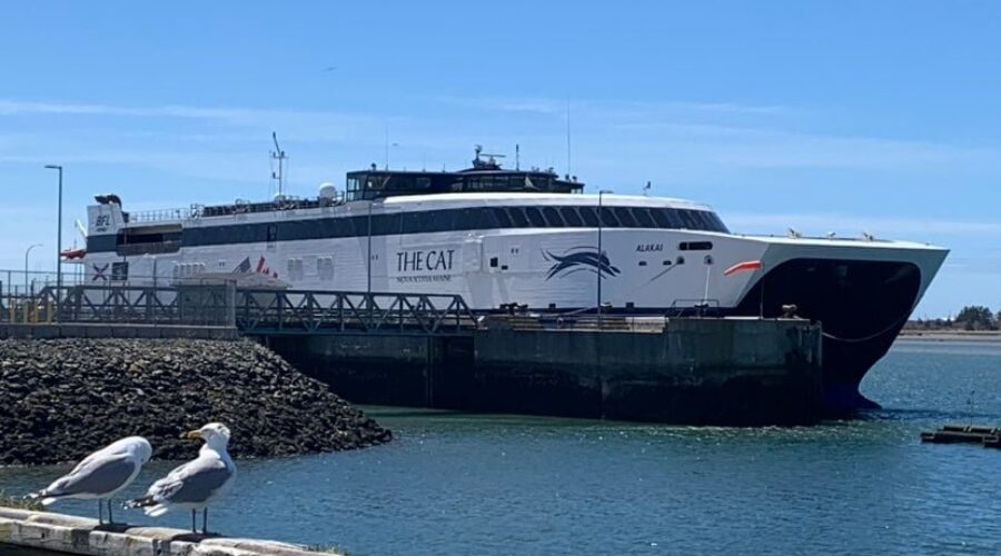 ‘CAT’ ferry surpasses last year’s passenger total