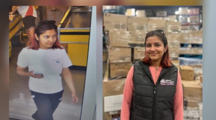 Police call off search for missing woman at Long Lake