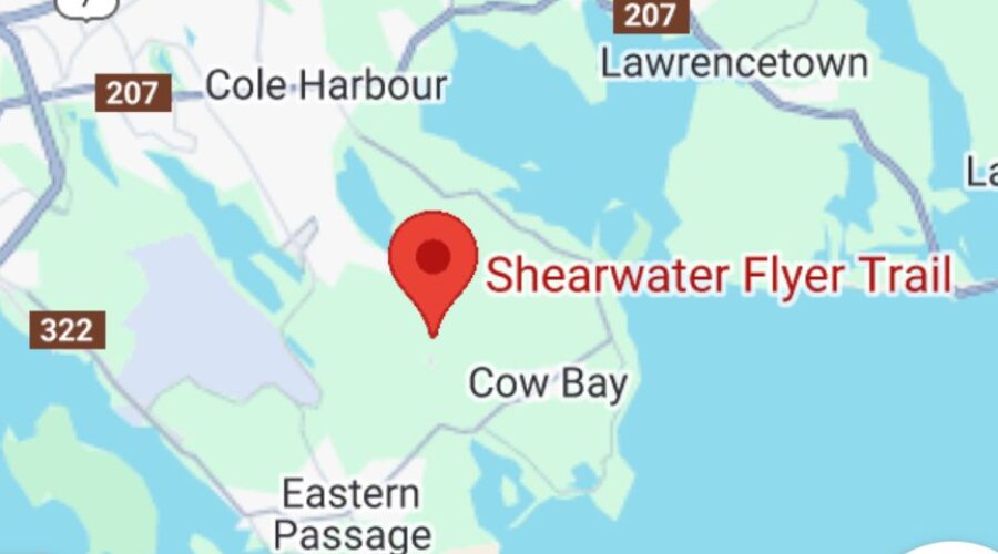 Unconfirmed reports of a bear attack near Halifax area trail