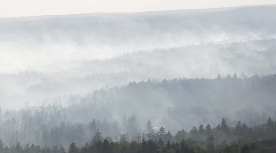 Province seeking information on 2023 Tantallon wildfire