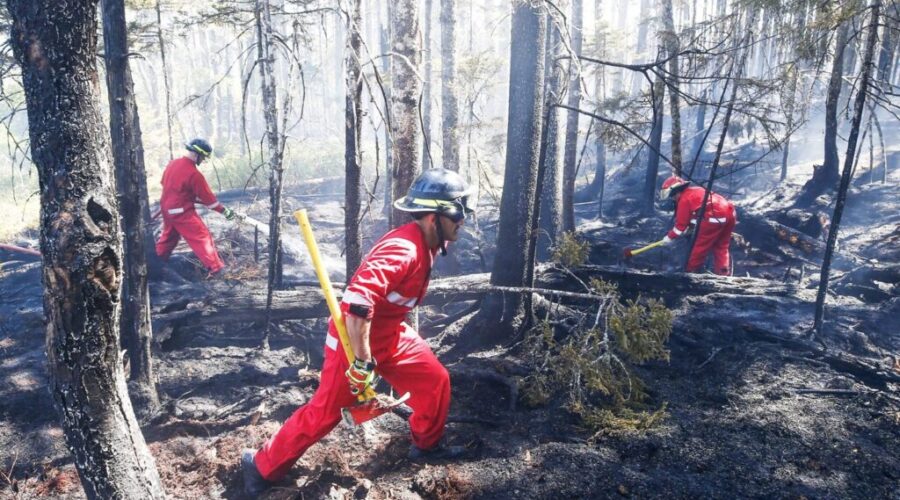 Halifax fire fighters lack resources for forest fires