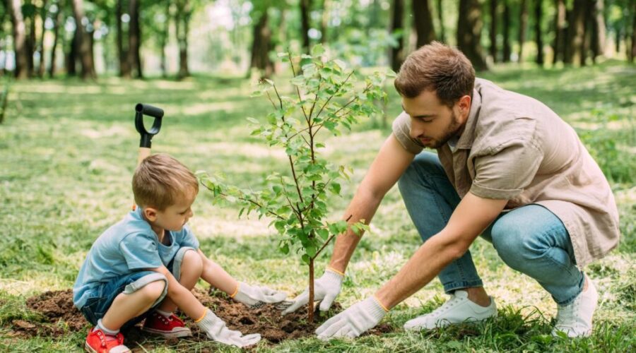 Volunteers across Canada will plant a tree today