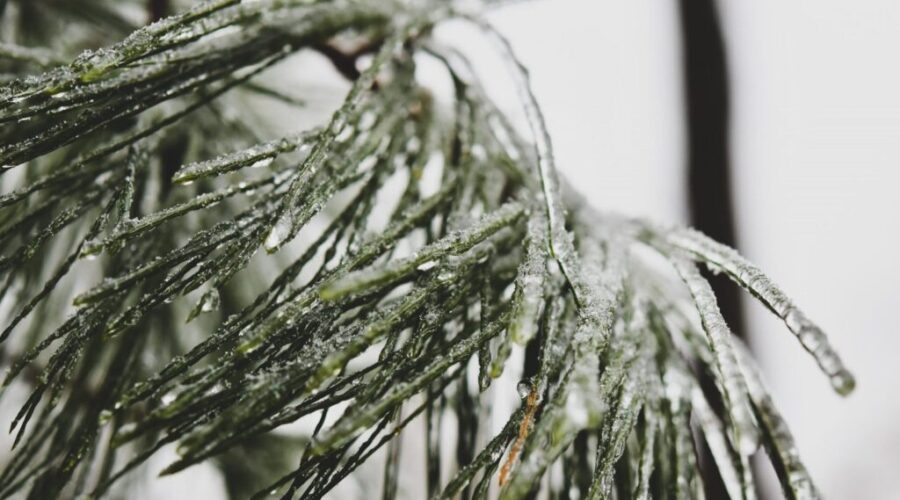 Frost advisory for most of N.S.