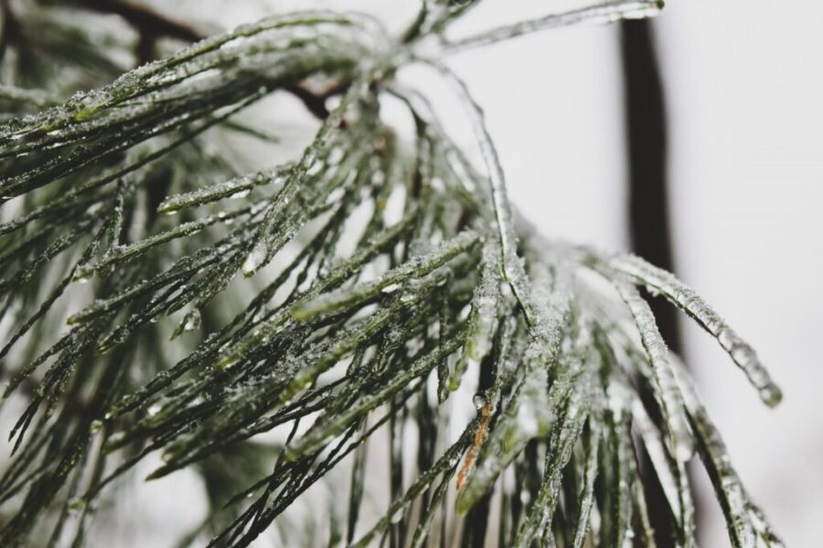 Frost advisory for most of N.S.