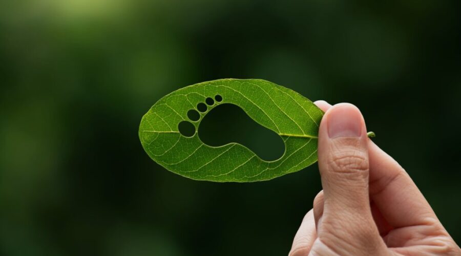 N.S. to spend $22M on programs to build green, affordable homes