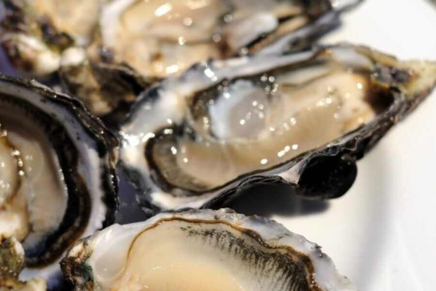 1 hospitalized, 550 symptomatic after P.E.I shellfish festival
