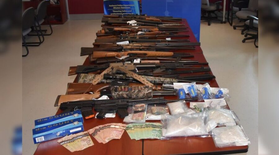 2 facing more than 250 drugs and firearms charges