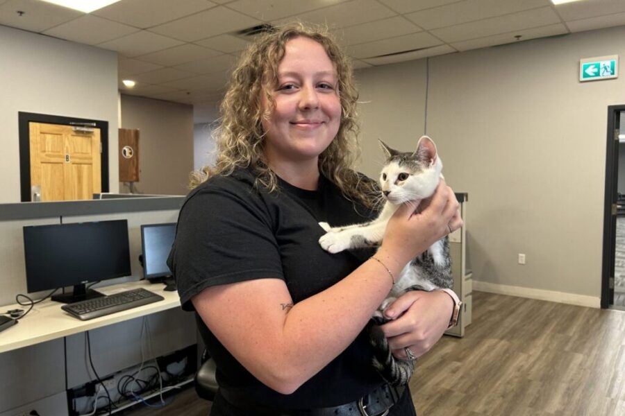 Halifax animal shelter rescues more than 70 cats from single property