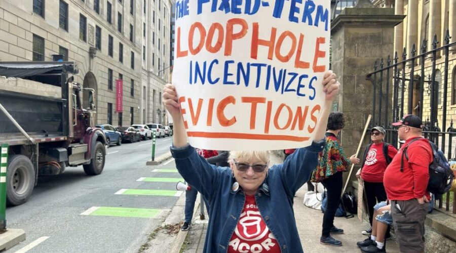 This Halifax senior has mice in her apartment, but she’s afraid to move