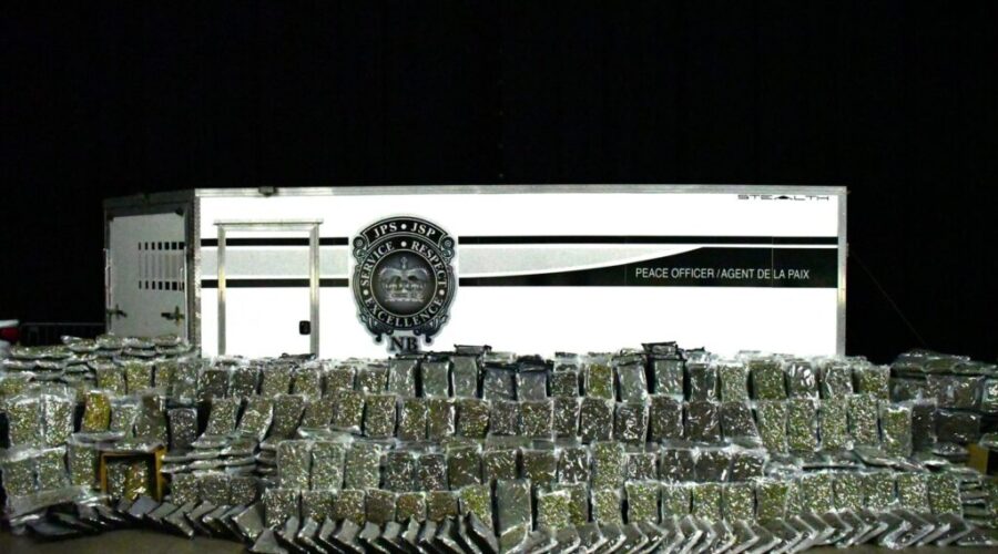 432 kilos of dried cannabis seized in Moncton