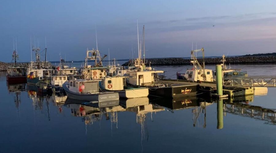Lobster industry calling on feds to declare out-of-season fishing illegal