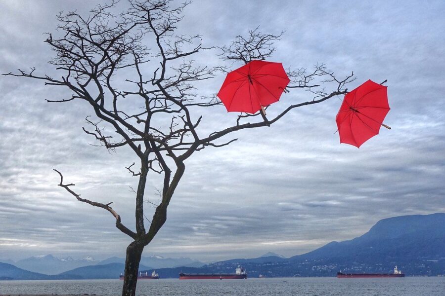 Special weather statement: heavy rain, strong winds for eastern N.S.