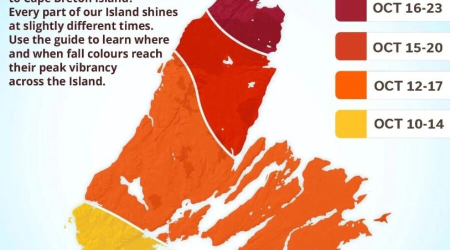 Planning a trip to Cape Breton? Here is a fall leaves change guide