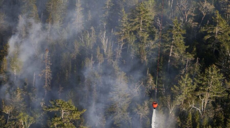 Nova Scotia records least active wildfire season following record-breaking devastation