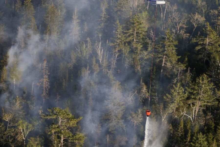 Nova Scotia records least active wildfire season following record-breaking devastation