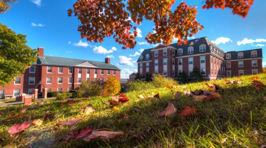 International student enrolment drops by 3000 in Atlantic region