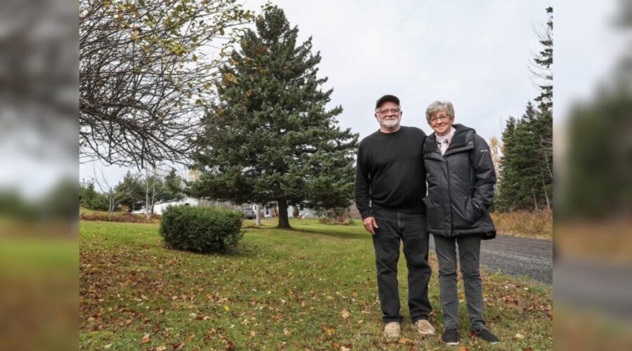 Mattie Settlement couple says it feels great to donate ‘Tree for Boston’