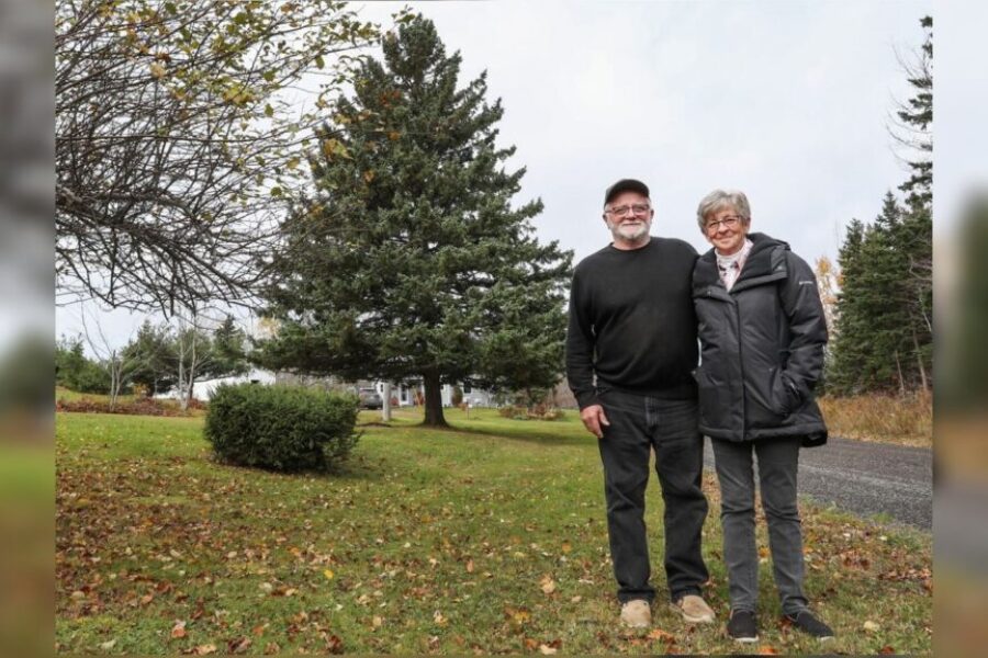 Mattie Settlement couple says it feels great to donate ‘Tree for Boston’