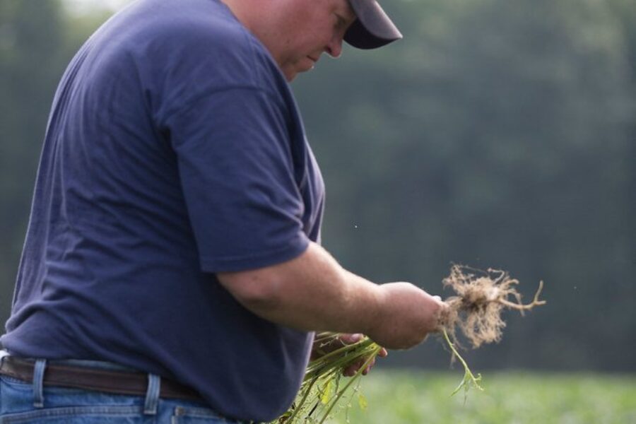 Poll finds climate change a top challenge for farmers in Canada