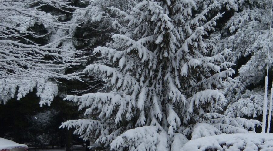 Pre-Christmas snow storm causing delays at Halifax airport
