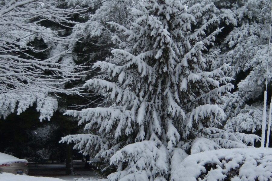 Pre-Christmas snow storm causing delays at Halifax airport