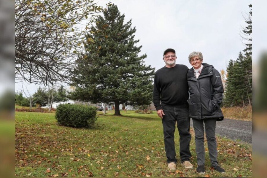 N.S. Tree for Boston set to shine