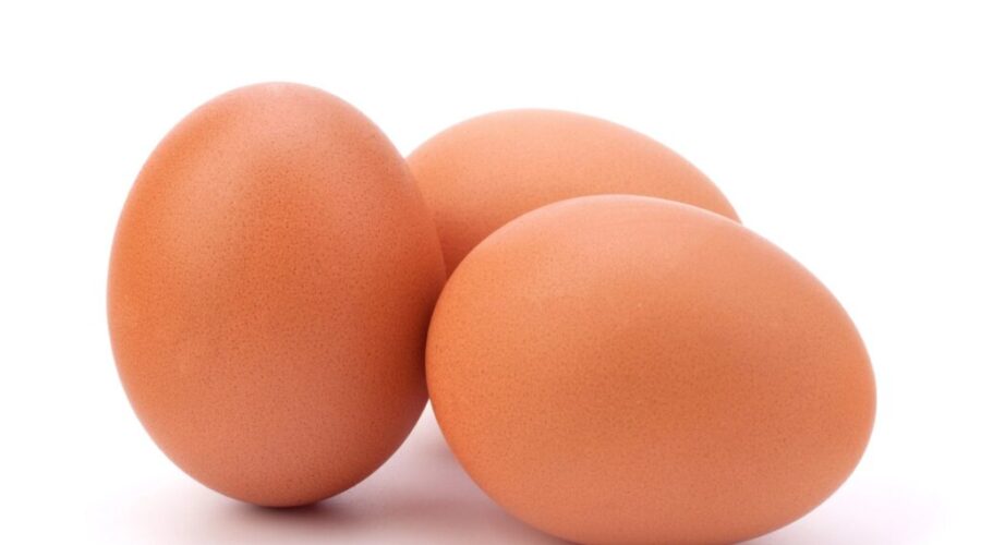 Eggs recalled due to Salmonella