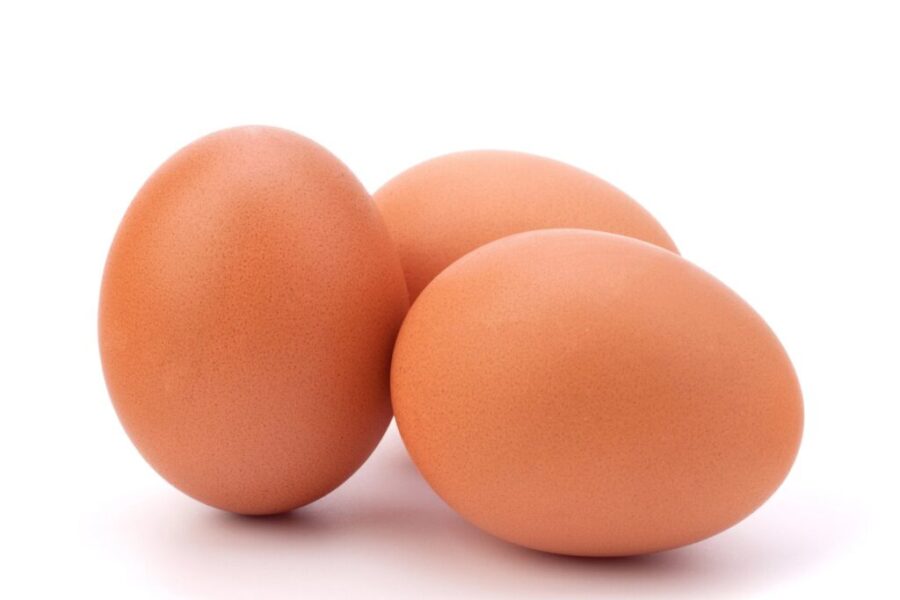 Eggs recalled due to Salmonella