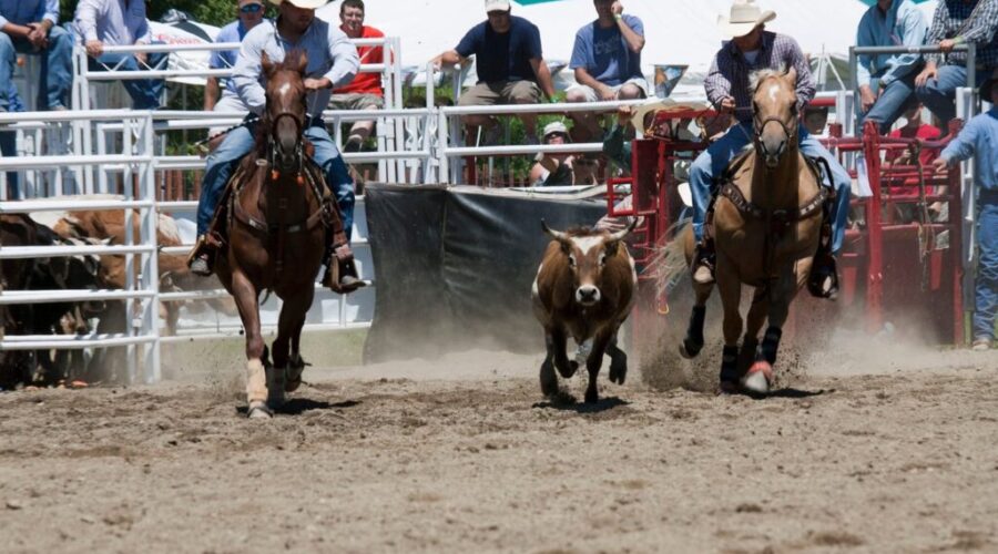 N.S. Stampede supports economic growth and tourism