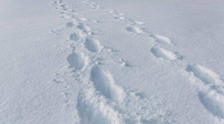 Parts of Cape Breton in for winter storm