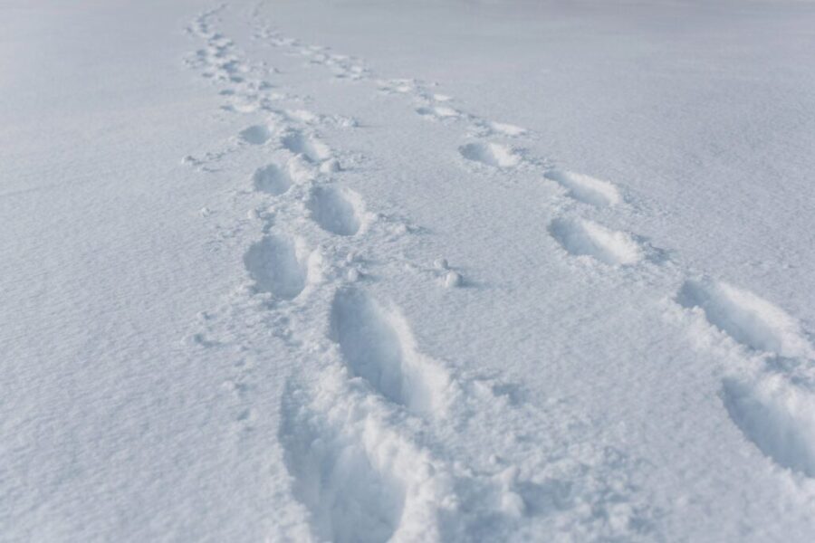 Parts of Cape Breton in for winter storm
