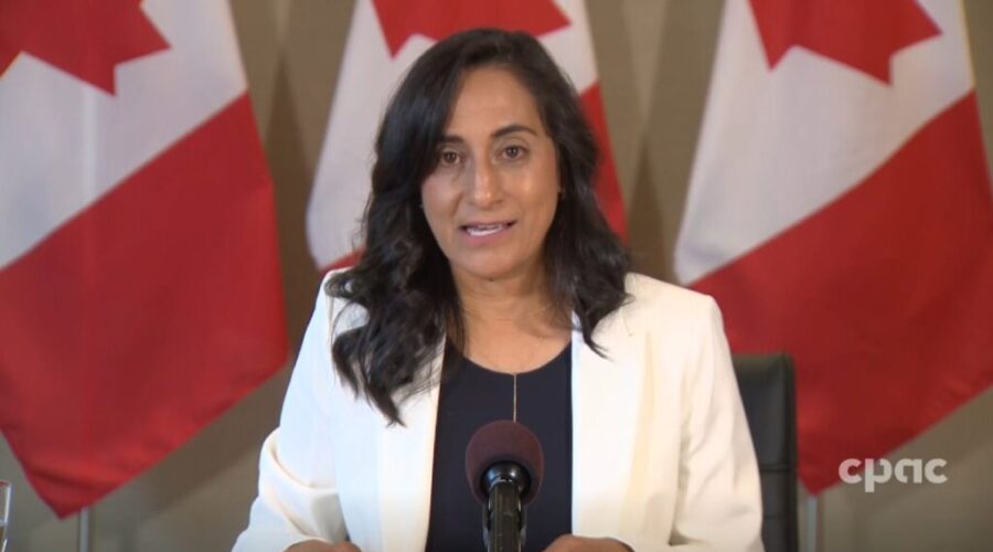 Transport Minister Anita Anand not seeking Liberal leadership or re-election