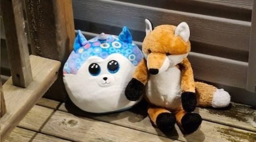 IWK gives hero tribute to 5-year-old killed after tragic fire