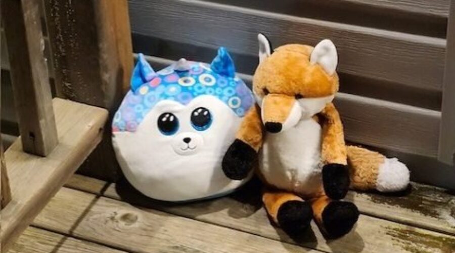 ‘Long road of recovery’, community helping family cope after fatal house fire in Lower Sackville