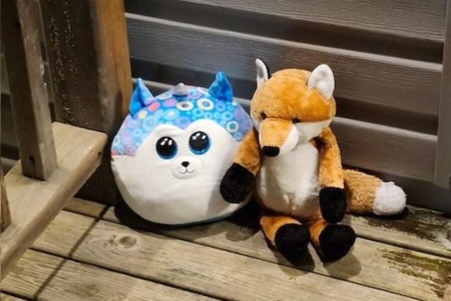 ‘Long road of recovery’, community helping family cope after fatal house fire in Lower Sackville