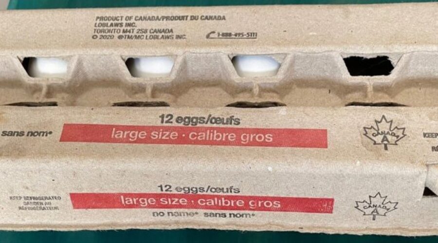 Eggs recalled due possible Salmonella contamination