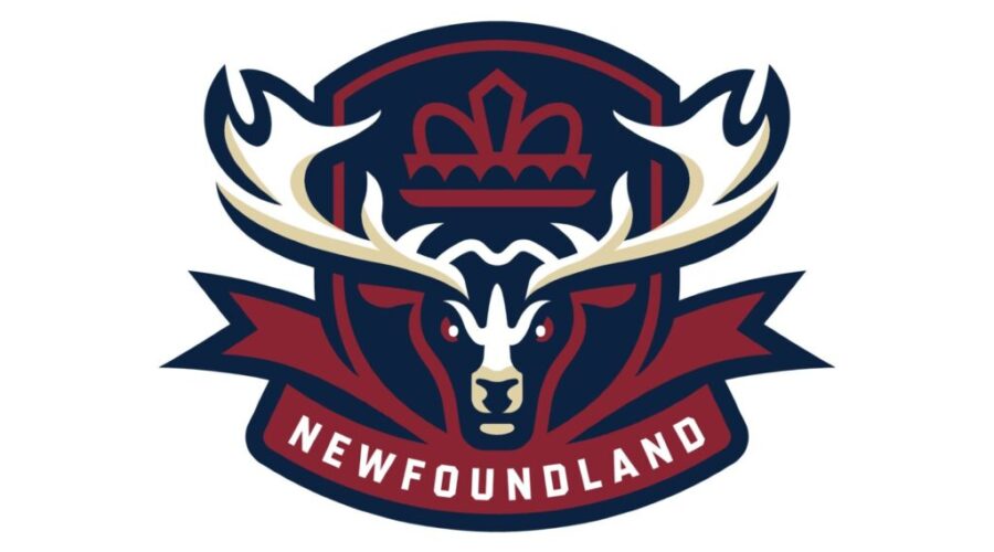 Newfoundland Regiment unveiled as newest QMJHL team