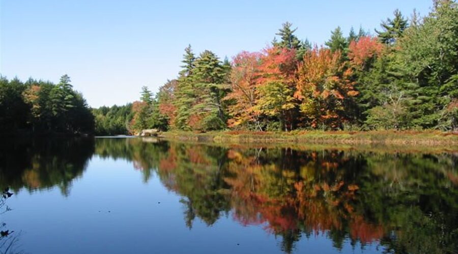 New Kejimkujik campsite booking system starts Wednesday morning