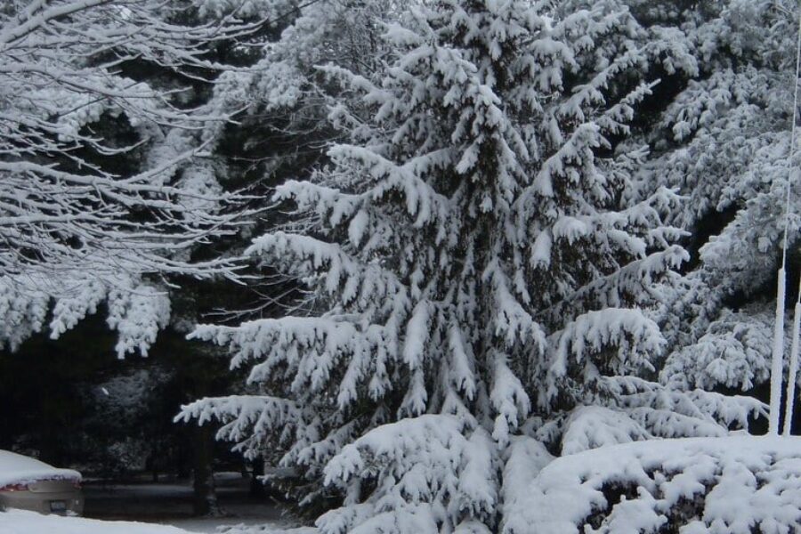 Two snowmobilers found after large search in Cape Breton Highlands