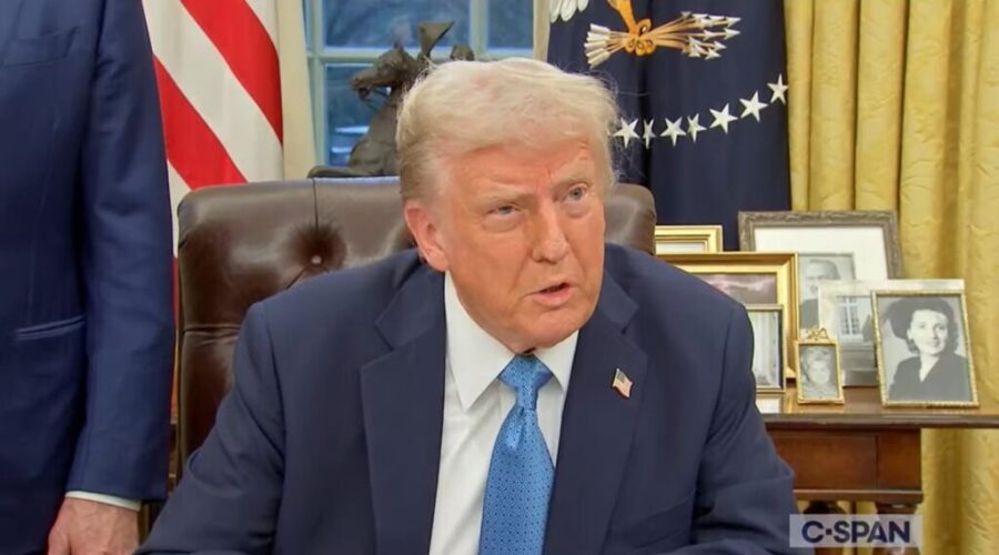 Trump pins taxes on steel and aluminum imports