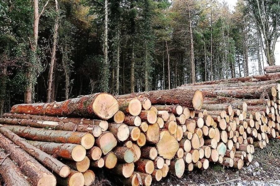 Forest products added to N.S. loyal program