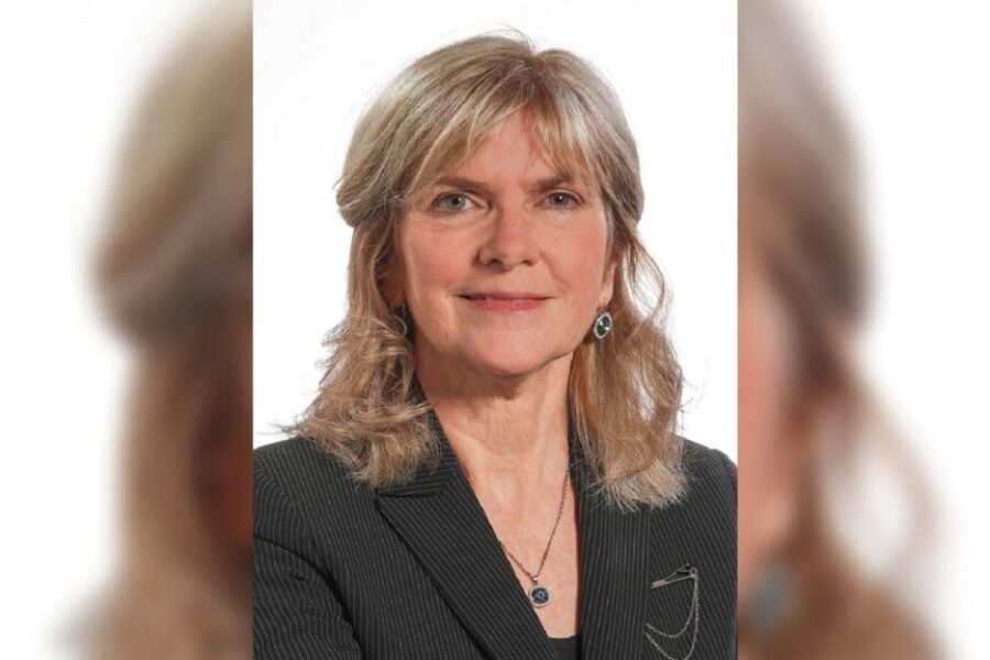 PCs want power to fire auditor general without cause