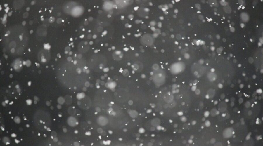 Up to 20cm of snow for Inverness County