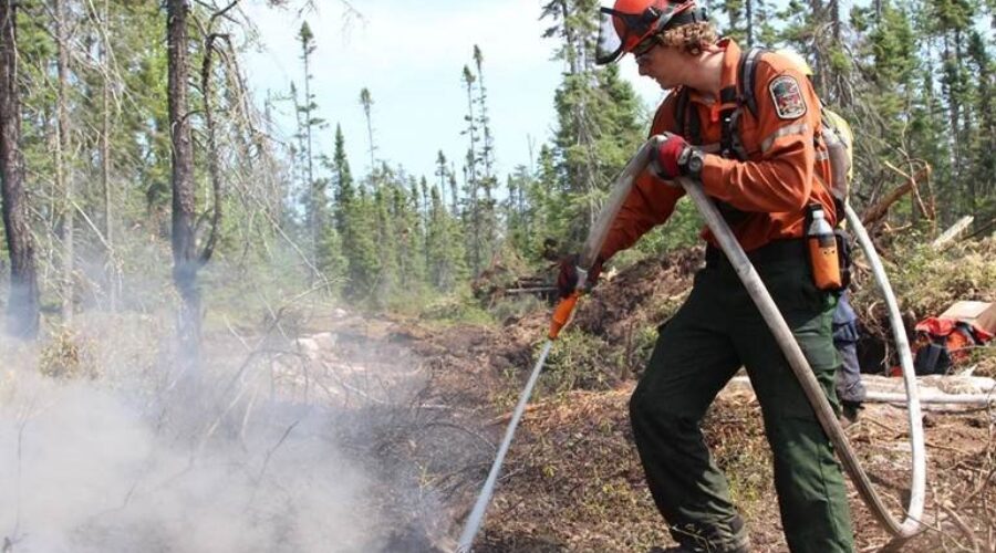 Nova Scotia wildfire season begins with dry conditions increasing risk
