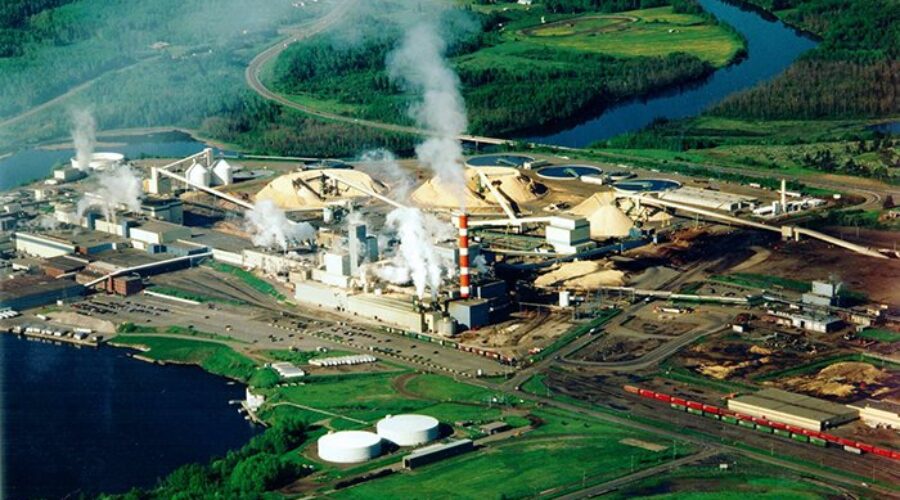 Northern Pulp seeks extension, weighs asset sale
