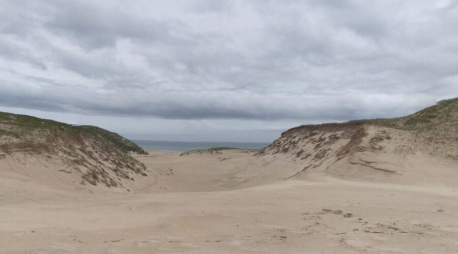 Are you an artist? Would you like to spend 2 weeks on Sable Island?
