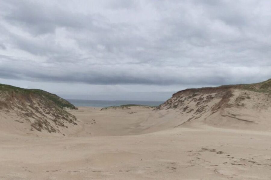 Are you an artist? Would you like to spend 2 weeks on Sable Island?