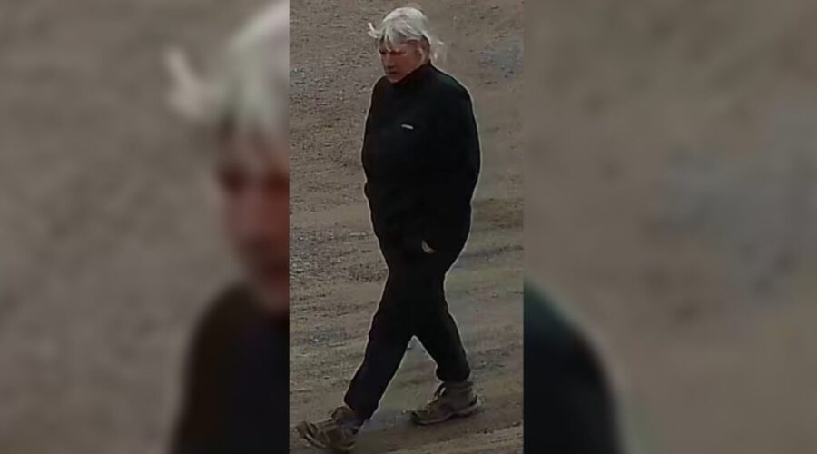 Police seek suspect in hate crime after flags vandalized