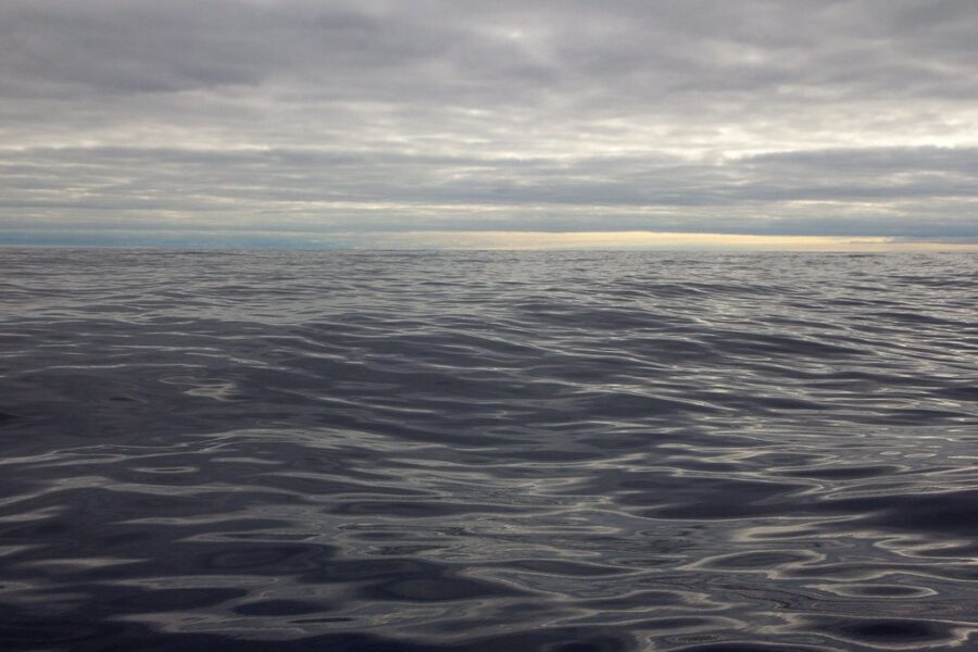 Procurement for tidal projects in Bay of Fundy