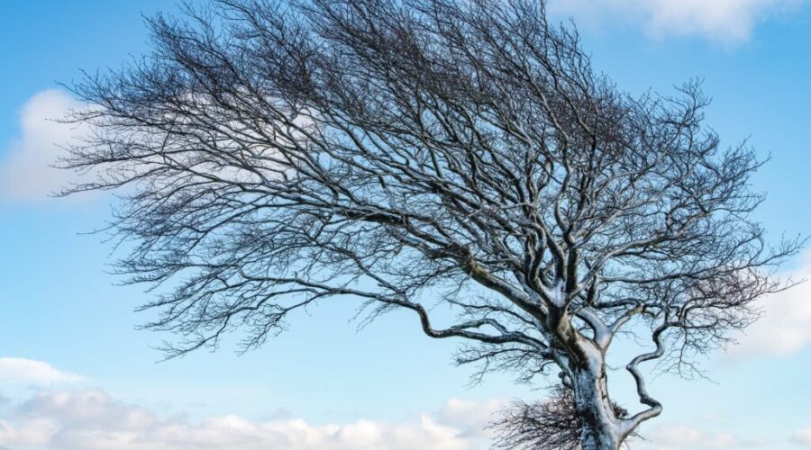 Winds knock out power to thousands in N.S.